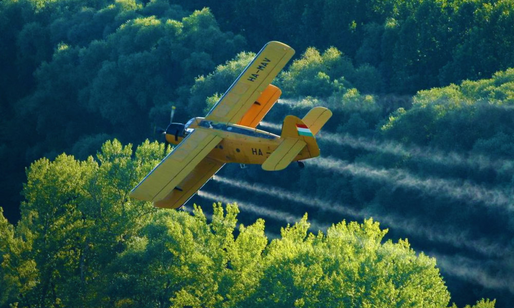 Katasztrófavédelem: százezer hektáron folytatódik a szúnyogirtás