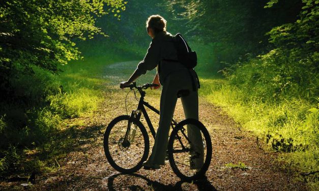 Bringázz a Pilisben! Most bővítették a Pilis Bike erdei kerékpáros úthálózatot