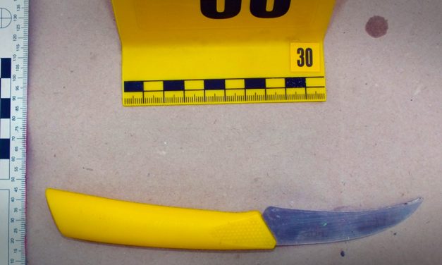 Ezzel a késsel szúrta le a betörő az őt megzavaró tulajdonost