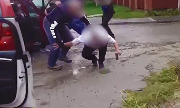 Szatírt fogtak a dél-pesti agglomerációban, játszótérnél mutogatta magát!