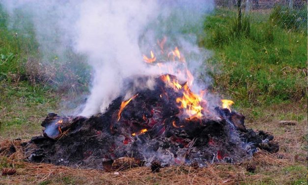 Mégsem tiltják be a kertihulladék-égetést január 1-től, a koronavírus miatt lehet füstölni az udvarban