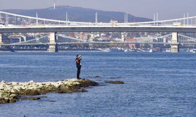 A Dunából mentettek ki egy 17 éves lányt Angyalföldön, beúszott érte a rendőr