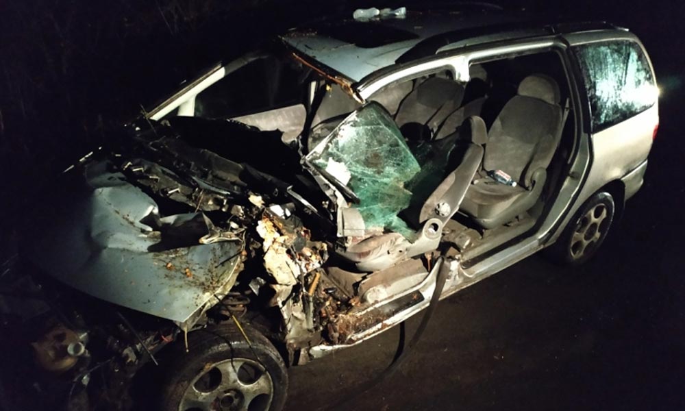 Tragédia! Lehajtott az útról, fának csapódott, a sofőr meghalt – Fotók