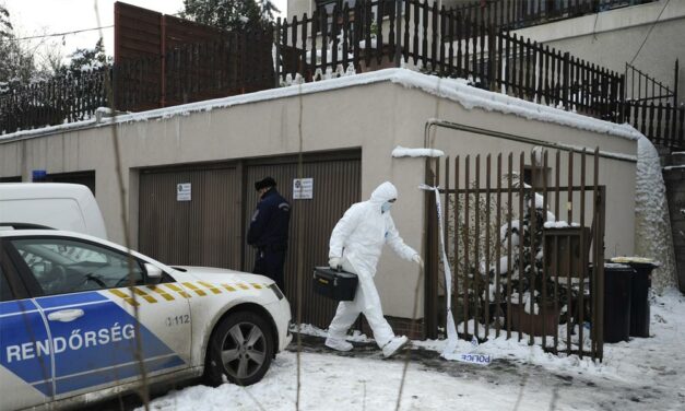 Családi tragédia! Saját anyját ölte meg a csepeli férfi karácsony előtt