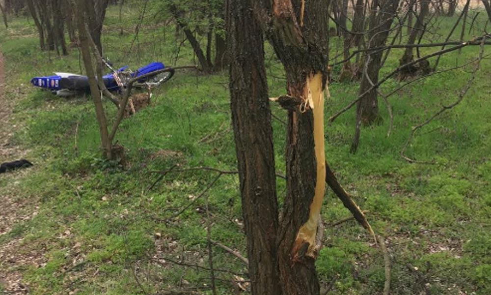 Egy halott motorosra bukkant az anya a gyermekével egy erdőben