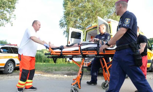 Búzatáblában rejtőzött el a biatorbágyi testvérgyilkos