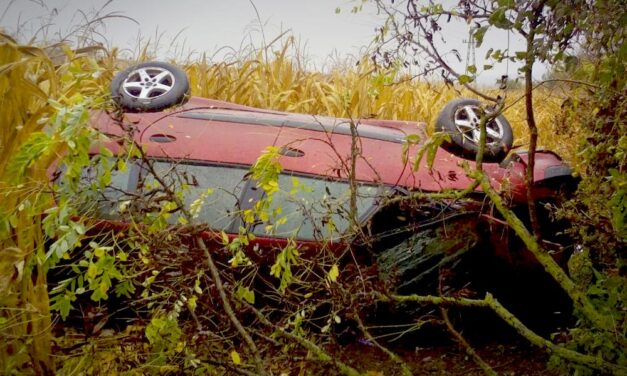A kukoricásba csapódott egy autó az agglomerációban