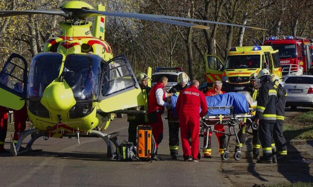 Rendőrökre támadtak a pesti agglomerációban, mentőhelikopterrel vitték kórházba a sérülteket