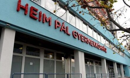 Egy hét alatt négy gyermek került a Heim Pálba gombelem lenyelése miatt – az egyik beteget műtüdővel tartják életben