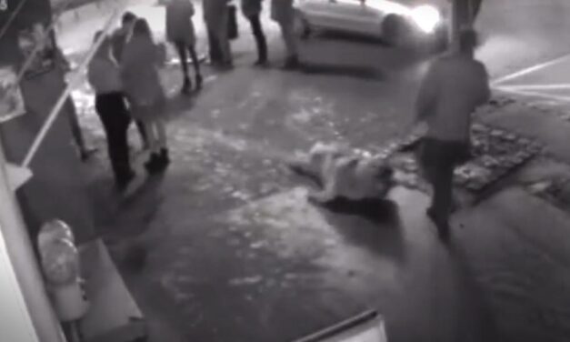 Az utcán vonszolt végig egy kutyát a kegyetlen állatkínzó (18+Videó)