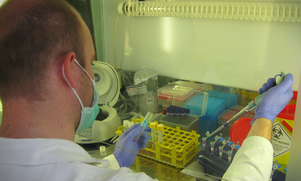 Újabb 11 halott, köztük egy 49 beteg is belehalt a koronavírusba