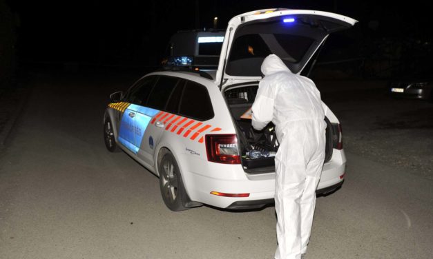 Savval is leöntötték a Szentendrén talált csecsemők maradványait