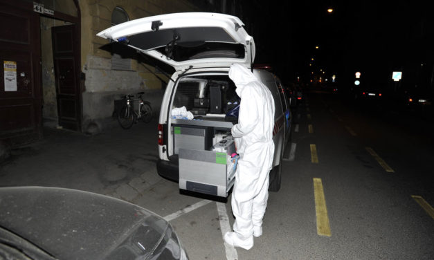 Durva részletek derültek ki a terézvárosi gyilkosságról