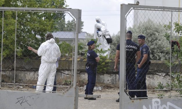 Elfogták a nőt, aki megölhette a 29 éves hajléktalan férfit