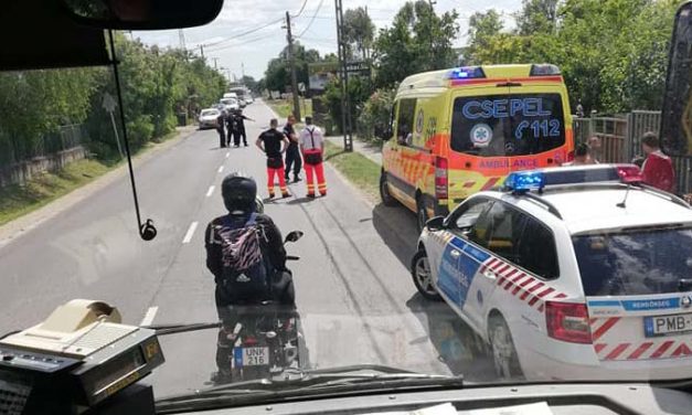 Egy anyára és két gyermekére támadt egy agresszív kutya, a rendőrök meglőtték az állatot