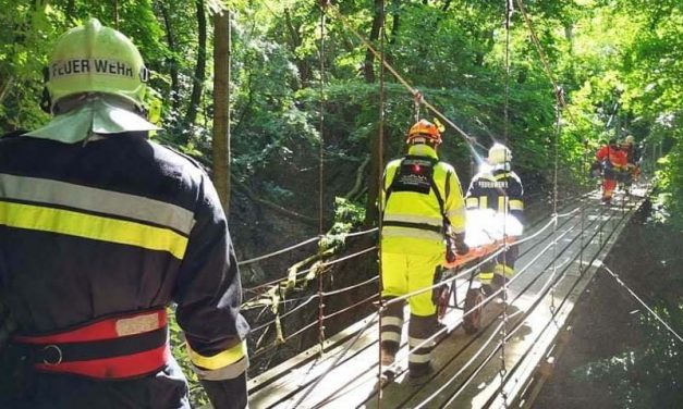 Balesetet szenvedett egy túrázó a Pilisben, mentőcsapatok hozták le