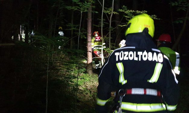Egy férfi holttestét találták meg a pilisszentiváni erdőben