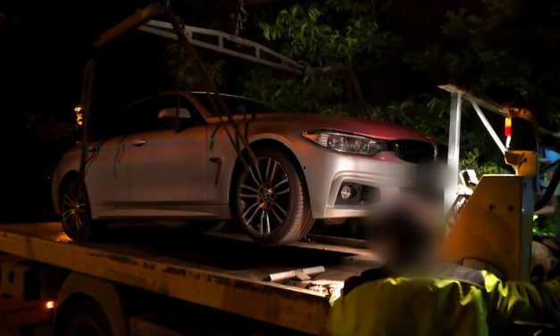 Lelepleztek egy fővárosi és agglomerációs droghálózatot, sok kábítószert és pénzt találtak náluk