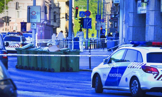 Deák téri gyilkosság: Alig nagykorú az elkövető, aki olyan súlyosan megverte ismerőseit, hogy belehaltak