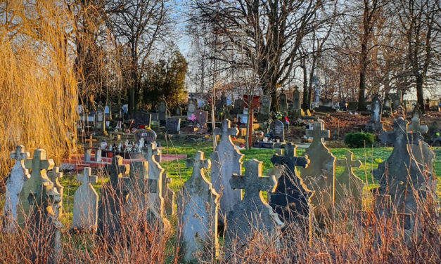 Nekiment az MSZP-s főpolgármester-helyettesnek a DK, nem akarnak áremelést a temetőkben