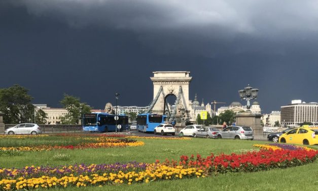 Két járókelőre dőlt egy fa a Lánchídnál