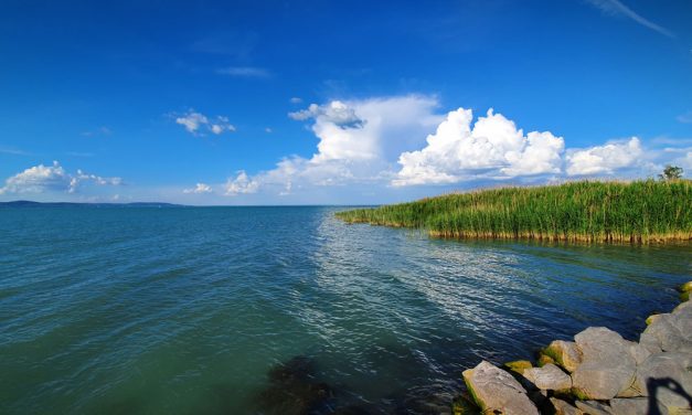 Nagy a baj: allergiás reakciót válthat ki a Balaton vize
