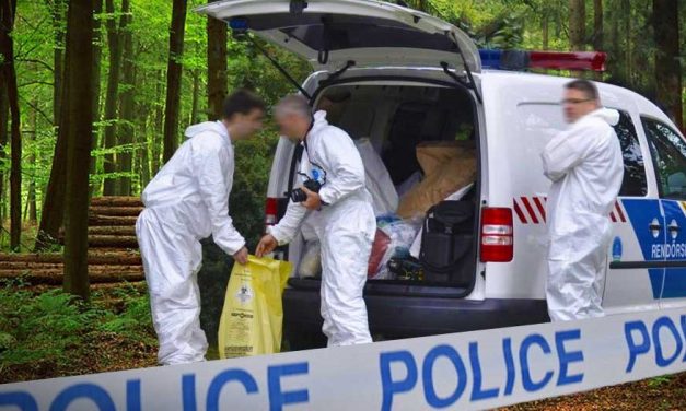 Egy ötgyermekes családanya tragédiája: begyógyszerezte magát, majd egy szál pizsamában indult el a gödöllői erdőbe, csak a holttestét találták meg