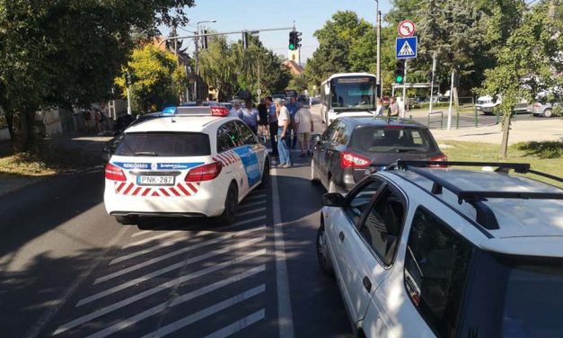 Egy édesanyát és 2 éves kislányát gázolták el Budakeszin