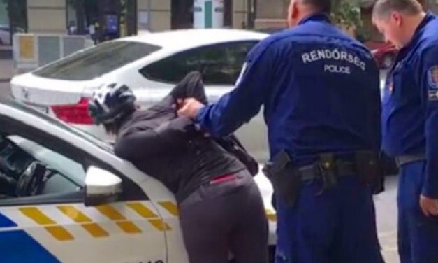 Szinte vírusként terjedt a felvétel, amin a kerékpáros nőt leteperik a rendőrök: most itt az eredmény a 11. kerületben történt emlékezetes ügyben