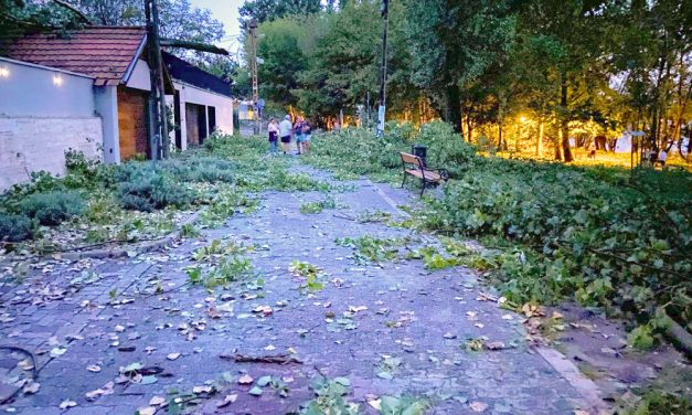 Újraélesztették az édesanyát, mert rázuhant egy 300 kilós faág Dunakeszin a viharban