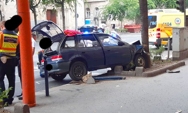 Autós üldözésről beszélnek Budapesten, egy Üllői úti fa állította meg a menekülő autóst