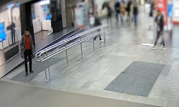 Boxerrel ütötte áldozatát a megvadult férfi a Westendnél – videó