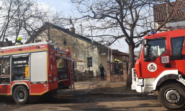 Földmunkával foglalkozó cég tetőszerkezete gyulladt ki a budapesti tűzesetben – fotók