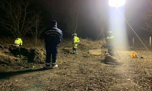 Horror: ló maradványai alól ásták ki egy nő holttestét