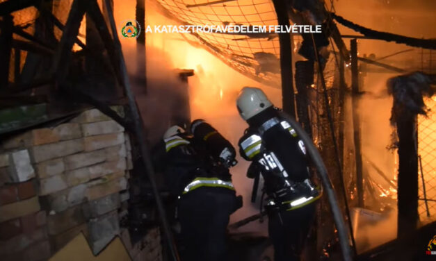 Felrobbant egy gázpalack egy budapesti tűzben, a helyszínen lovakat mentettek a tűzoltók