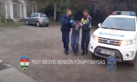 Brutális ámokfutás a Pest vármegyei gyermekotthonban: nevelőire támadt, megharapta őket, majd őrjöngő rohamot kapott