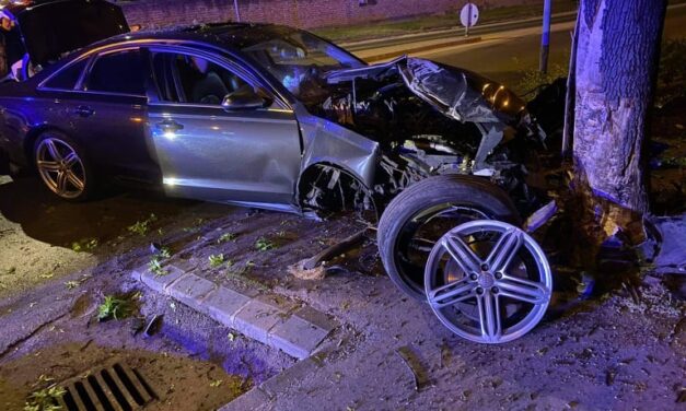 Brutális baleset: lassítás nélkül átszáguldott a körforgalmon, majd fának csapódott egy Audi Szigetszentmiklóson – fotók