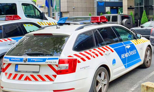 150 ezer forint értékű egerekkel verte át a találékony budapesti csaló a lépre ment szekszárdi férfit