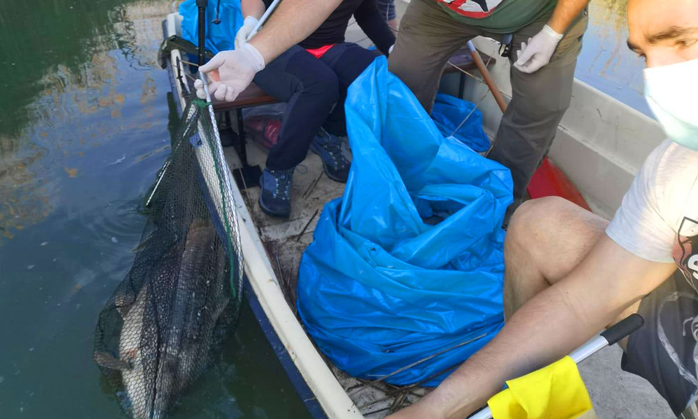 Elpusztult halak tömegét, több száz kiló foszló tetemet gyűjtöttek zsákokba az önkéntesek a Velencei-tónál