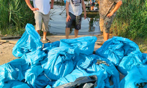 Senki nem jött döglött halat fogni, biológiai katasztrófa, 110 mázsa hal pusztult el a Velencei-tóban