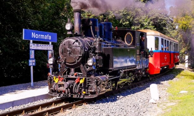Jeles évforduló: 75 éve indult el a Gyermekvasút első vonata a Széchenyi-hegy és Hűvösvölgy között – izgalmas programokkal várják a családokat a nagy napon