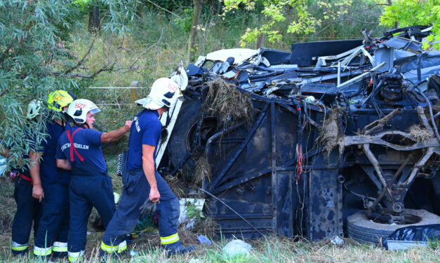„Mi voltunk az elsők, akik megálltak segíteni a buszról” – Horvátországból utaztak haza a M7-esen balesetet szenvedett busz utasai, a sofőr is az áldozatok között van