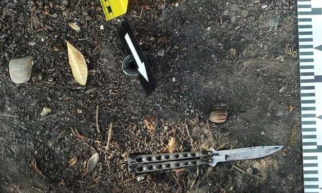 Véres dráma zajlott a gödi éjszakában, a leszúrt nőre az utcán találtak rá, féltékenység lehet a motiváció