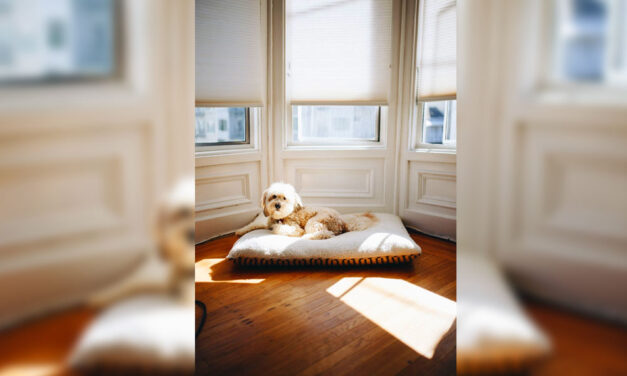 Tippek nyílászárók és árnyékolók vásárlásához