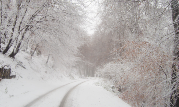 Havazott Magyarországon, megmaradt a soproni és kékestetői hó, de valószínűleg hamarosan elolvad