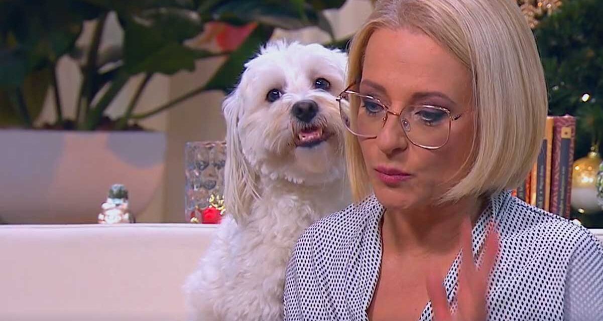 Nem vicc! Meghágta egy kutya Marsi Anikót a TV2 élő adásában