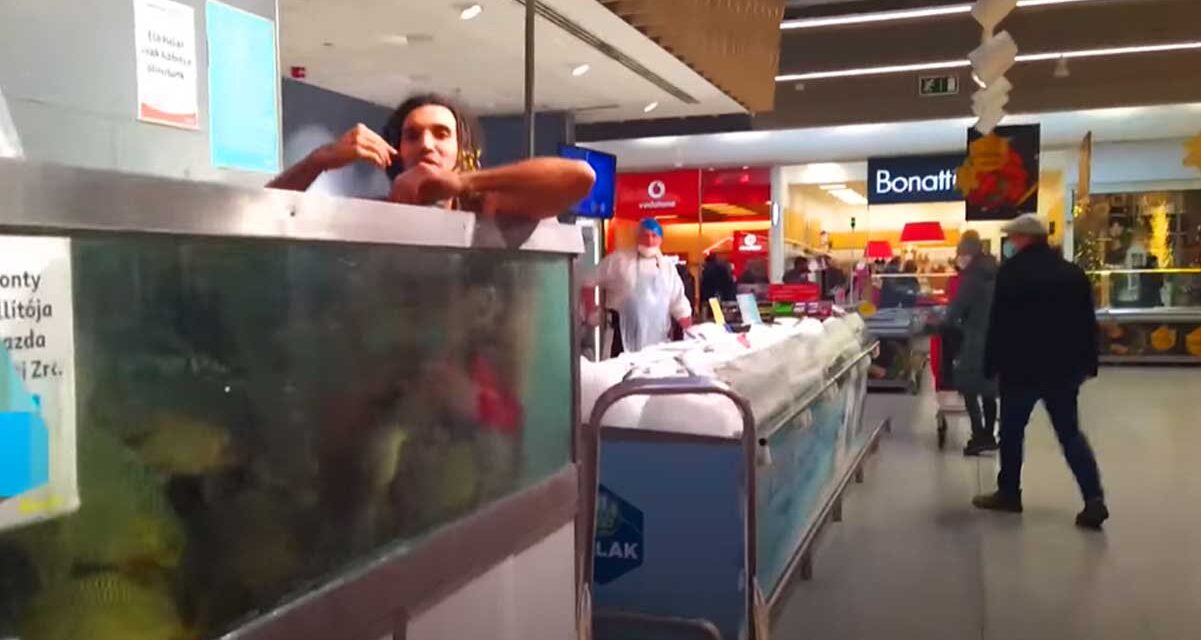 A budaörsi Auchan halaspultjánál letolta a nadrágját a férfi és szenteste napján bemászott a pontyok közé az akváriumba – Videó