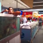 A budaörsi Auchan halaspultjánál letolta a nadrágját a férfi és szenteste napján bemászott a pontyok közé az akváriumba – Videó