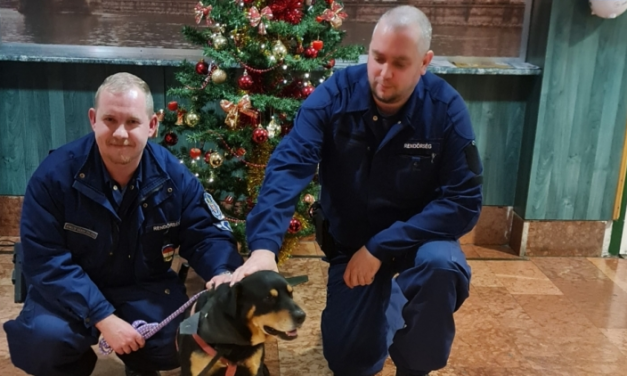 A rettegő, átfázott Brúnó kutyát beültettek autójukba az 1. kerületi rendőrök, mosolygós vége lett a karácsonyi történetnek