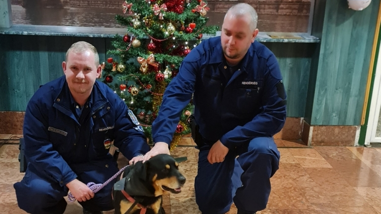 A rettegő, átfázott Brúnó kutyát beültettek autójukba az 1. kerületi rendőrök, mosolygós vége lett a karácsonyi történetnek